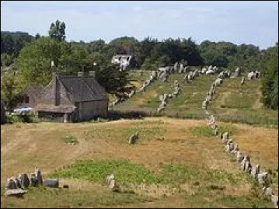 Les alignements de menhirs de Carnac en Bretagne sont en fait...