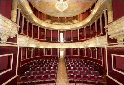Châtellerault possède un magnifique théâtre a l'italienne du milieu 19e siècle, témoin d'un riche passé industriel. Que fabriquait la M.A.C à qui cette ville doit son développement ?