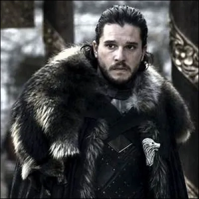 Jon Snow est joué par...