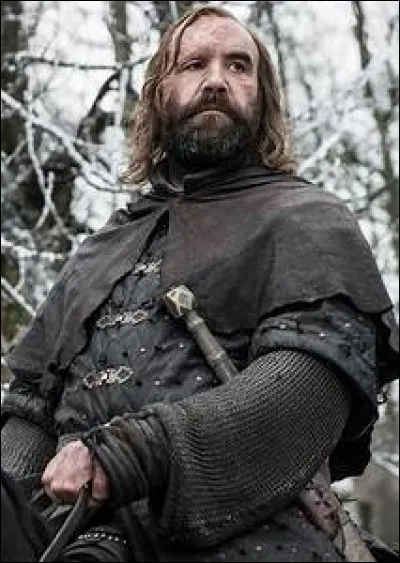 Sandor Clegane est joué par...
