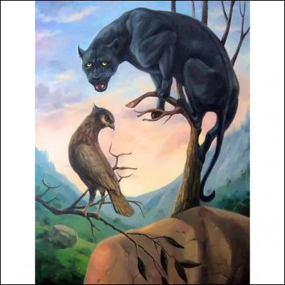 Que vois-tu en premier ?