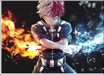 Comment Bakugo nomme-t-il Shoto Todoroki ?