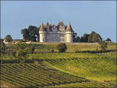 Voici un château entouré d'un vignoble réputé. Comment se nomme-t-il ?