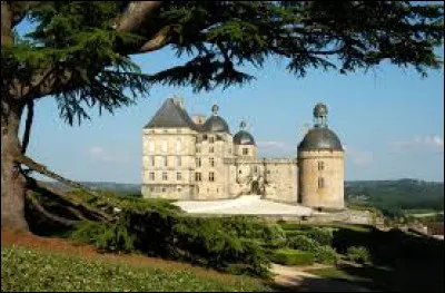 Voici un beau château qui a subit un incendie qui a pratiquement tout détruit à l'intérieur durant le XXe siècle. Comment se nomme-t-il ?