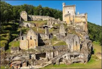 Sur la commune des Eyzies-de-Tayac-Sirueil, se trouve un château en partie en ruine. Comment s'appelle-t-il ?