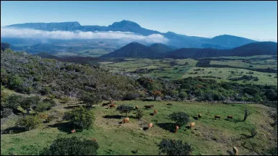 Maintenant, nous sommes dans la ville...