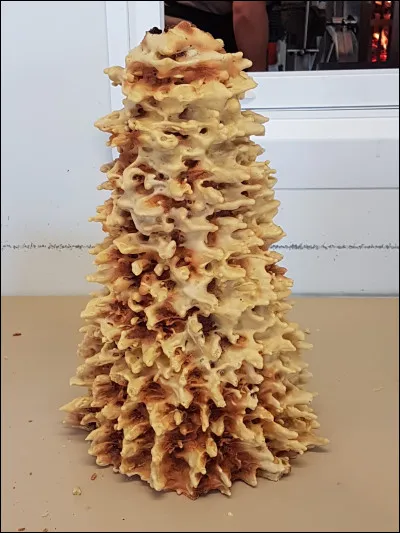 D'après son nom, comment est cuit ce drôle de gâteau ?