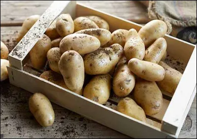 D'après une IGP, d'où viennent les pommes de terre ?