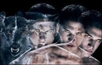 Tu préfères être un :