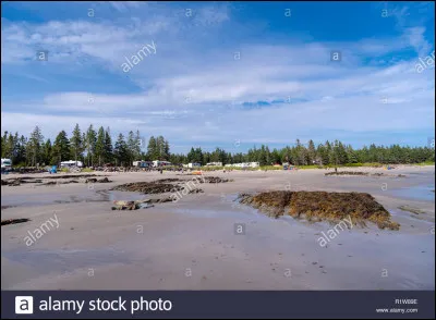 Le clan de la Rivière a besoin d'aide contre le clan du Vent, que fais-tu ?