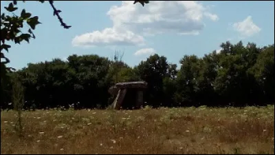 La campagne lotoise invite aux randonnées ; 
vous pourrez y apercevoir, comme sur la photo, des...