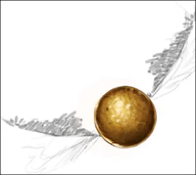 Quel est le nom de l'entraîneur de Quidditch ?