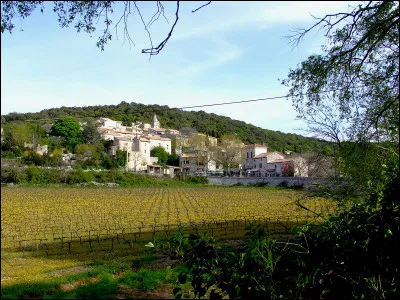 C'est à flanc de colline qu'est niché ce petit village ardéchois, surveillez votre ligne et vous trouverez son nom !