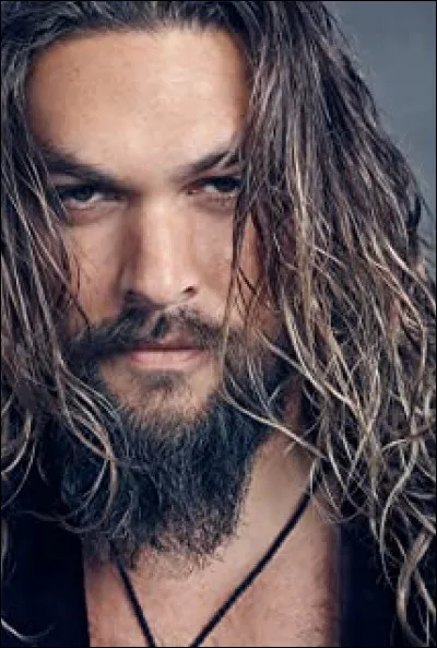 Jason Momoa n'a pas joué dans...