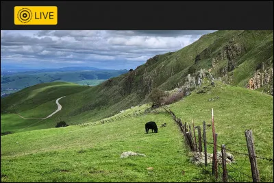 Qu'est-ce qu'un polytric ?