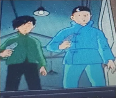 Tintin découvre une porte secrète. De quelle couleur était le rideau derrière lequel était cachée la porte ?