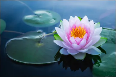 Comment te définirais-tu ? (2)