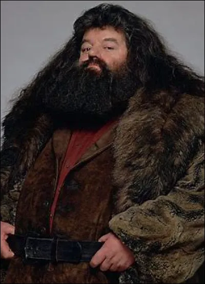 Quel est le prénom du garde champêtre Hagrid ?