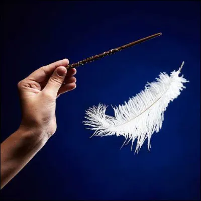 Qui échoue à utiliser le sortilège Wingardium Leviosa dans le premier film ?