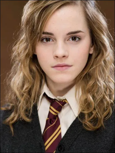 Quel est le métier des parents d'Hermione ?