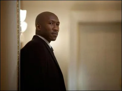 Quel est le personnage de Mahershala Ali ?