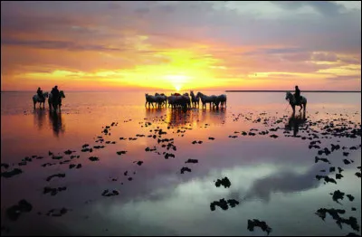 Voici encore un lieu que j'ai retrouvé avec nostalgie ! Nous n'avions pas pu y dormir, pas un hôtel libre à 40 km à la ronde en raison de la fête des gitans ! On célébrait Sainte Sara !