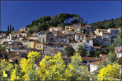 Non loin de ce splendide village, mes amis tenaient la plage de Cabasson, surplombée par la falaise sur laquelle on admire le fort de Brégançon, résidence présidentielle !