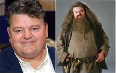 Comment s'appelle l'acteur de Hagrid ?