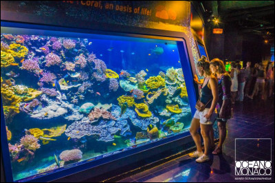 Dans quelle ville, le musée océanographique nous émerveillera-t-il en exposant plus de 6 000 poissons tous plus beaux les uns que les autres ?