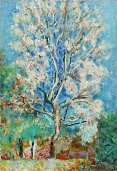 Nous voici au musée du Cannet où cet artiste acheta la villa "Le Bosquet" où il vivra 20 ans, dans ce village qu'il a maintes fois représenté sur ses toiles. Quel est ce musée qui porte son nom ?