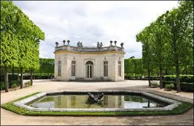 Que pouvons-nous voir sur cette photo ?