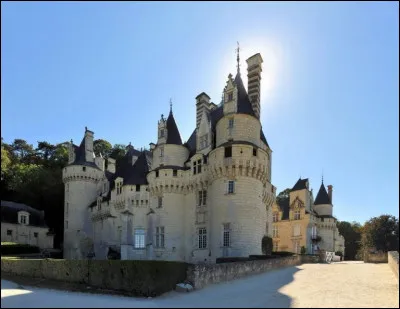 Quel est ce château surnommé "le château de la Belle au bois dormant" ?