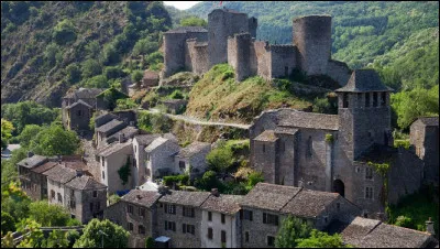 Au confluent du Tarn et de l'Alrance les tours d'un château médiéval dominent un tout petit village, un vieux pont gothique, une église fortifiée du XVe siècle, c'est...