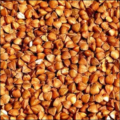 Quelle plante est couramment appel&eacute;e bl&eacute; noir, bien qu'elle ne soit pas de la famille du bl&eacute; ?