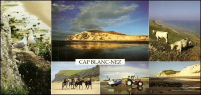 Vos amis veulent fuir les fortes chaleurs, alors direction le bord de mer et les Hauts-de-France, plus précisément :