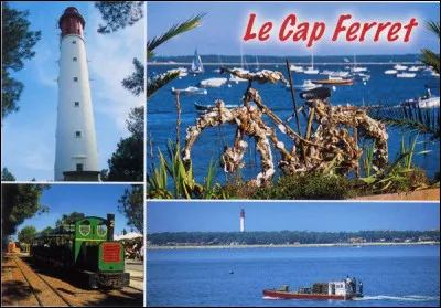 Destination soleil et mer. Vous êtes jaloux de vos amis lorsque vous apprenez qu'ils profitent d'agréables vacances :