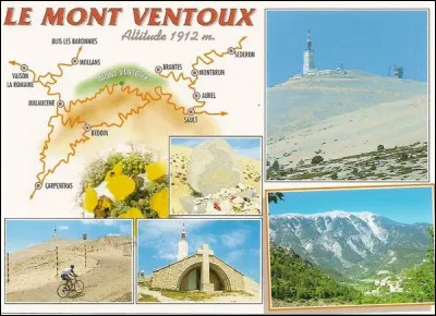 Ces amis-là sont de grands sportifs, et particulièrement des férus de cyclisme. Alors, ils se sont lancés dans cette ascension mythique :