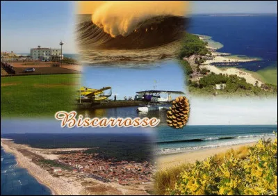 Par contre, ces amis-là n'aiment pas la montagne. Ils préfèrent de loin les grandes plages. Une petite pensée pour vous depuis :