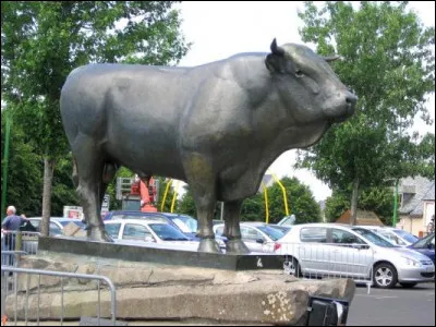 Quelle est cette ville du Massif central, dont ce taureau trônant au milieu de sa place a vu bien des mains sur ses parties intimes, usant la patine du bronze jusqu'au brillant ?