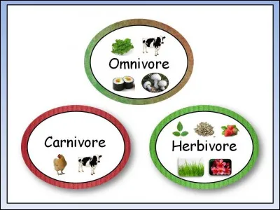 Et petite dernière question, le cheval est...