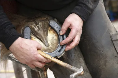 Est-on obligé de ferrer son cheval ?