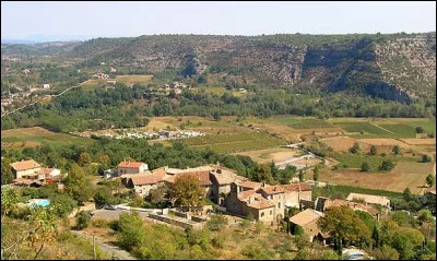 Comment appelle-t-on les plateaux calcaires caract&eacute;ristiques de l'Ard&egrave;che du Sud avec une v&eacute;g&eacute;tation m&eacute;diterran&eacute;enne ?