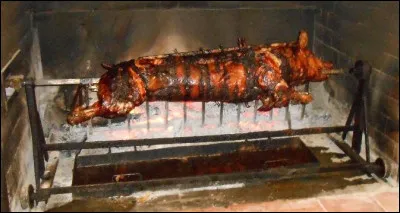 En Ard&egrave;che, on produit des picodons de ch&egrave;vre, des macarons depuis 1581 et de la ch&acirc;taigne que l'on met dans la soupe, le p&acirc;t&eacute;, le pain, l'ap&eacute;ro, etc.Comment fait-on la diff&eacute;rence entre la ch&acirc;taigne et le marron ?