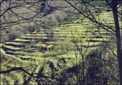 Quelle est la signification de "faysse" dans le paysage ard&eacute;chois ?