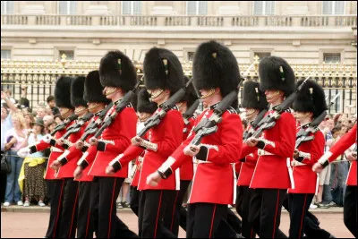 Les gardes de la reine sont droits dans leurs___ !