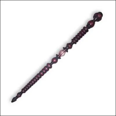 À qui appartient cette baguette magique ?