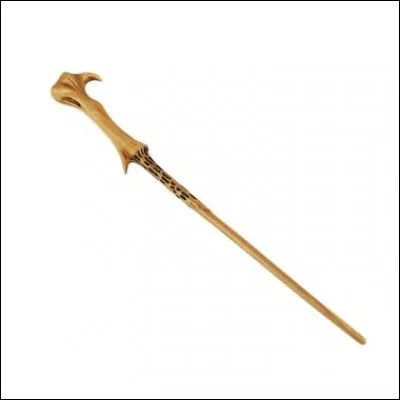 À qui appartient cette baguette magique ?