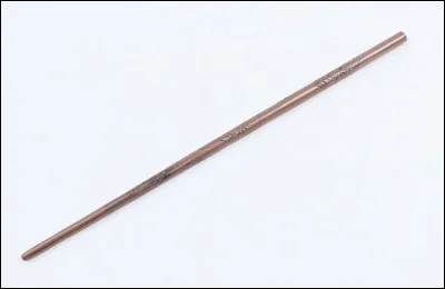 À qui appartient cette baguette magique ?