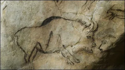 La grotte de Niaux est une des rares grottes ornées du Paléolithique encore ouverte au public. On y trouve de grands herbivores dessinés au charbon de bois, au dioxyde de manganèse ou à l'hématite. Où est-elle située ?