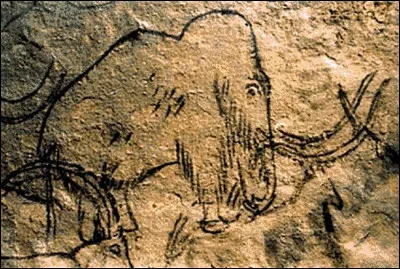 Dans l'immense grotte de Rouffignac sont principalement représentés des mammouths. On y trouve des gravures au silex et des dessins tracés au doigt il y a plus de 13 000 ans. Dans quel département se trouve-t-elle ?